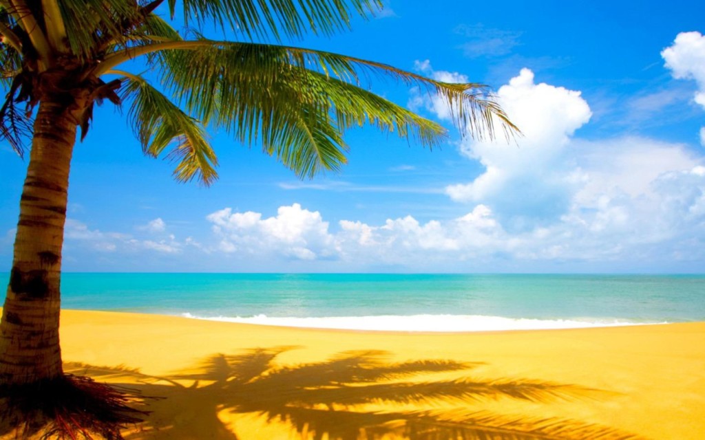 1314188921_1273554956_1440x900_golden-summer-beach