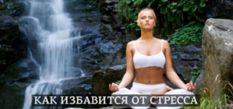 Когда весь мир против вас: как избавиться от стресса