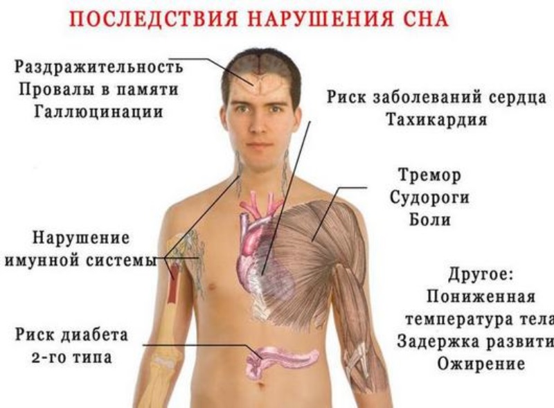 Бессонница — это национальная эпидемия